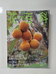 花百料　35　2004年号