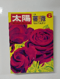 太陽6
