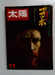 太陽　11