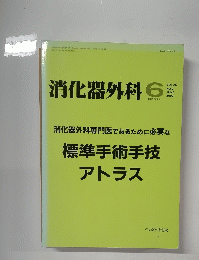 消化器外科　2002年6月　No.　7　VOL.　25