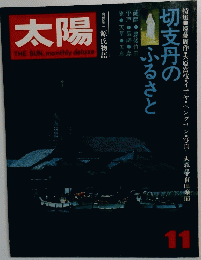 太陽　11　