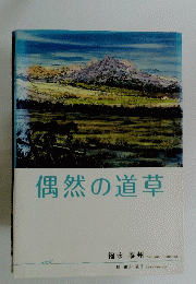 偶然の道草