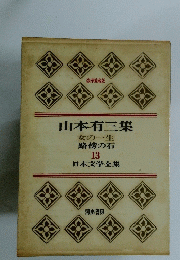 山本有三集　女の一生　13　