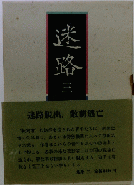 迷路 3