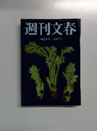 週刊文春　5月28日号 