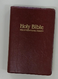 Holy Bible NEW INTERNATIONAL VERSION