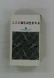 ここに磁石は生まれる