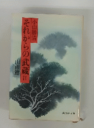 それからの武蔵　２　山雨篇