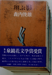 翔ぶ影