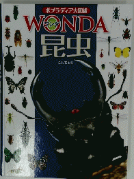 WONDA 昆虫
