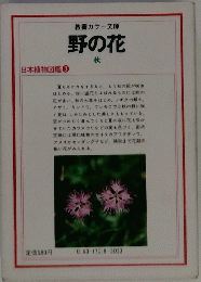 野の花　秋　日本植物図鑑 3