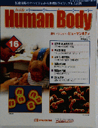 週間 インサイド ヒューマンボディ 16号 2005-5-31