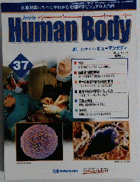 週間 インサイド ヒューマンボディ 　37号 　2005年10月25日号