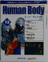 週間 インサイド ヒューマンボディ 第13号 2005年５月１０日号