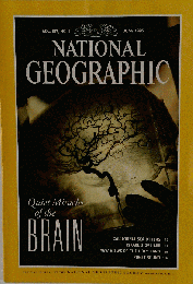 National Geographic　Quiet Miracles of the Brain