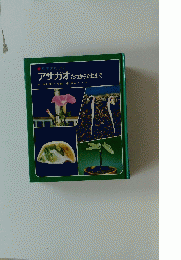 アサガオ　たねからたねまで　
