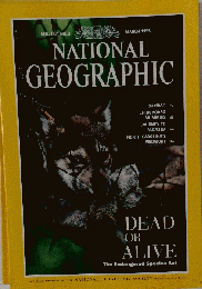 National Geographic Mar 1995 DEAD OR ALIVE
