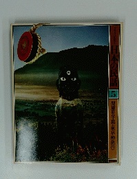 日本の民話 5 関東Ⅱ葉・東京・神奈川>