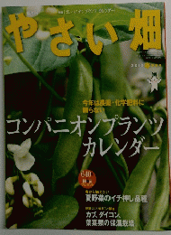 やさい畑　2013　
