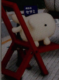 サイ・イサラ　2005年10月