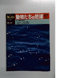 朝日百科動物たちの地球　47　母なる海