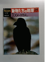 動物たちの地球　34