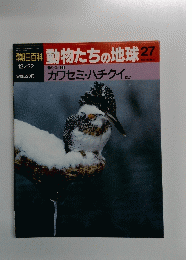 朝日百科動物たちの地球　27　カワセミ・ハチクイ ほか