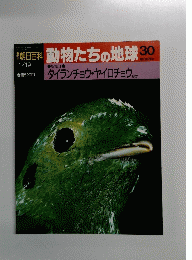 動物たちの地球　30　