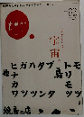 オトン　2007年4月号　vol.2　