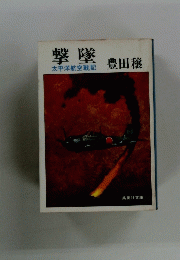 撃隊　太平洋航空戦記