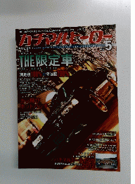 ハチマルヒーロー Vol.21 2013年5月号