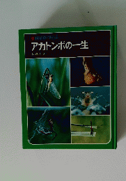 科学のアルバム　アカトンボの一生