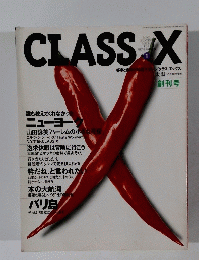 CLASS X