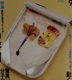 科学朝日　1991年9月