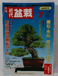 近代　盆栽　　2000年7月