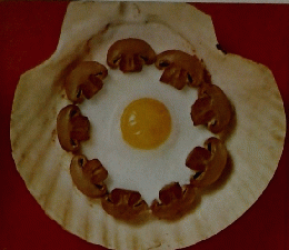 見ながらつくれる　天火で作るお総菜
