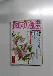 趣味の園芸　1997年6月号