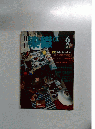 月刊 染色α No.3　1981年6月号