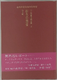 砂色の関係　川上宗自全集3
