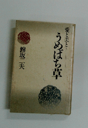 うめばち草