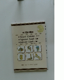 疾患説明用ツール