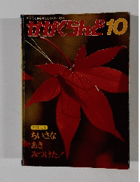 かがくらんど10