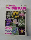 見てわかる やさしい山野草入門