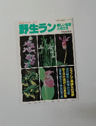 野生ラン　