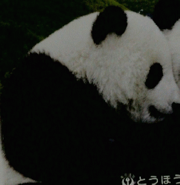 理科資料