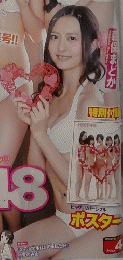 ヤングアニマル　　2015年2月号　No.4