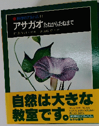 科学のアルバム13 アサガオたねからたねまで