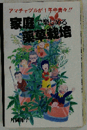 家庭で楽しめる薬草栽培