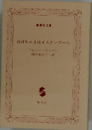 おばちゃまはイスタンブール