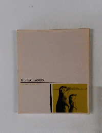 THE BADLANDS　未踏の大自然/北米大陸・バッドランズ